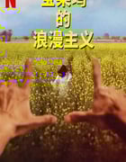 2023年美国电视剧《宝莱坞的浪漫主义 第一季》全4集
