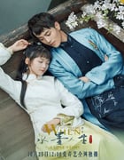 2019年国产大陆电视剧《水墨人生 第二季》全12集