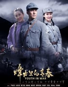2011年国产大陆电视剧《烽火硝烟里的青春》全26集