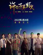 2023年国产大陆电视剧《许你万家灯火》全32集