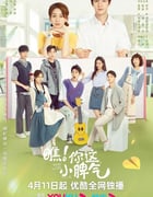 2023年国产大陆电视剧《瞧！你这小脾气》全23集