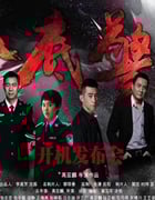 2023年国产大陆电视剧《卧底警花》全35集