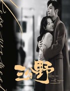 2023年国产大陆电视剧《三分野》全32集