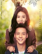 2023年国产大陆电视剧《照亮你》全36集