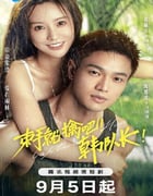 2023年国产大陆电视剧《束手就擒吧！韩队长》全23集