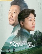 2023年国产大陆电视剧《父辈的荣耀》全30集