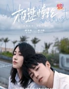 2023年国产大陆电视剧《极速悖论》全22集