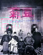 1990年国产经典剧情片《菊豆》蓝光国语中字