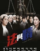2023年中国香港电视剧《法与情》全20集