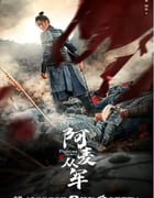 2024年国产大陆电视剧《阿麦从军》全36集