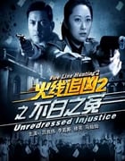 2013年国产经典动作片《火线追凶2之不白之冤》HD国语中字