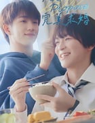 2024年日本电视剧《完美求婚》全6集