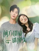 2024年国产大陆电视剧《前方错爱请掉头》全16集