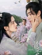 2024年国产大陆电视剧《惜花芷》全40集
