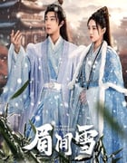 2024年国产大陆电视剧《眉间雪》全18集