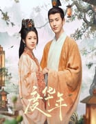 2024年国产大陆电视剧《度华年》全40集