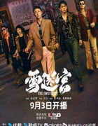 2024年国产大陆电视剧《雪迷宫》全32集