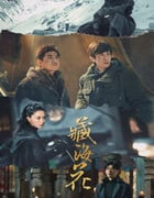 2024年国产大陆电视剧《藏海花》全32集