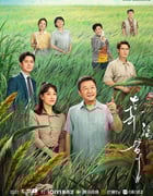 2024年国产大陆电视剧《幸福草》全24集