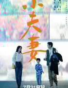 2024年国产大陆电视剧《小夫妻》全36集