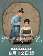 2024年国产大陆电视剧《柳舟记》全40集