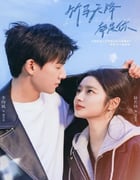 2024年国产大陆电视剧《再见，怦然心动》全24集