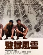 1987年中国香港经典动作片《监狱风云》蓝光国粤双语中字