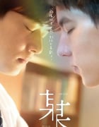 2024年中国台湾电视剧《某某》全12集