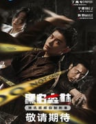 2024年国产大陆电视剧《黑白森林》全28集