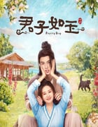 2024年国产大陆电视剧《君子如玉》全24集