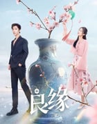 2024年国产大陆电视剧《良缘》全23集