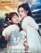 2024年国产大陆电视剧《双兔》全24集