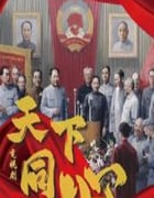 2024年国产大陆电视剧《天下同心》全21集