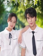 2024年国产大陆电视剧《青柠之味》全12集