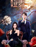 2024年国产大陆电视剧《哑妻》全24集