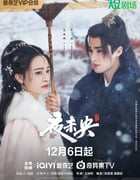 2024年国产大陆电视剧《夜未央》全30集