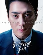 2024年韩国电视剧《好或坏的东载》全10集