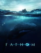 2021年美国纪录片《探寻鲸之音》HD中英双字