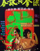 1974年中国香港经典动作片《洪拳与咏春》蓝光国语中字