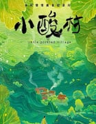2024年国产大陆纪录片《小酸村》全12集