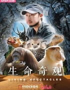 2024年国产大陆纪录片《生命奇观》全3集