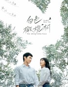 2025年国产大陆电视剧《白色橄榄树》全38集