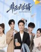 2025年国产大陆电视剧《非正式营销》全24集