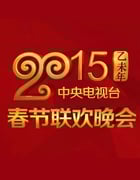 2015年国产真人秀《2015年中央电视台春节联欢晚会》HD国语中字