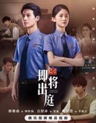 2025年国产大陆电视剧《即将出庭》全20集