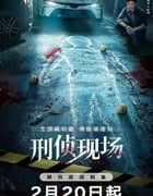 2025年国产大陆电视剧《刑侦现场》全18集