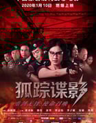 2020年国产动作片《狐踪谍影》HD国语中字