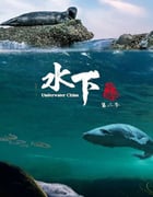2024年国产大陆纪录片《水下中国 第二季》全6集