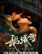 2025年国产大陆电视剧《鹅绒雪》全20集