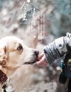 2018年国产大陆纪录片《今生，请多指教》全5集